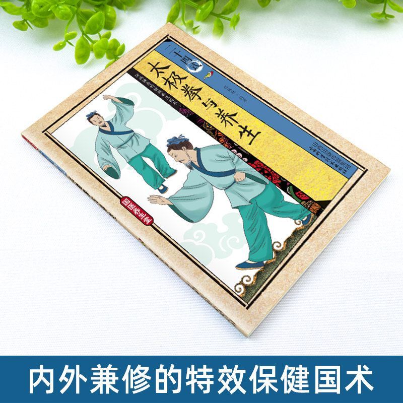 24 Style Tai Chi and Health Ex - Health & Wellness Focus recension och pris