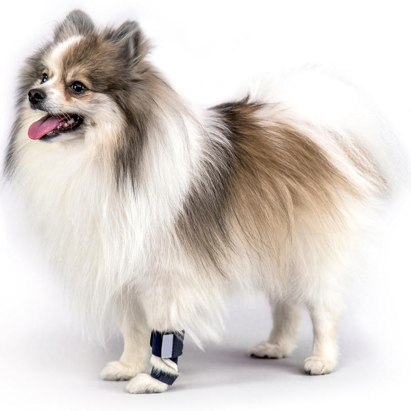 Carpal Hyperextension Dog Brac - Ankle Brace Support recension och pris